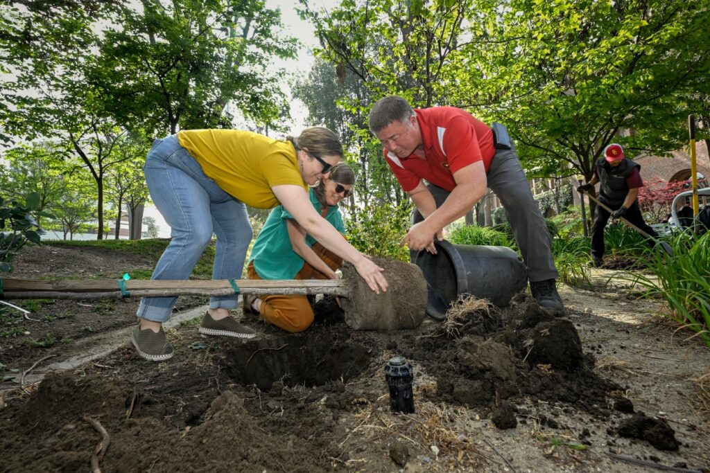 Chelsea Graham and Sam Schongalla from the office of sustainability, along with university arborist Michael Wallich plant a tree in Founders Park during the celebration of arbor day, April 28, 2023.
