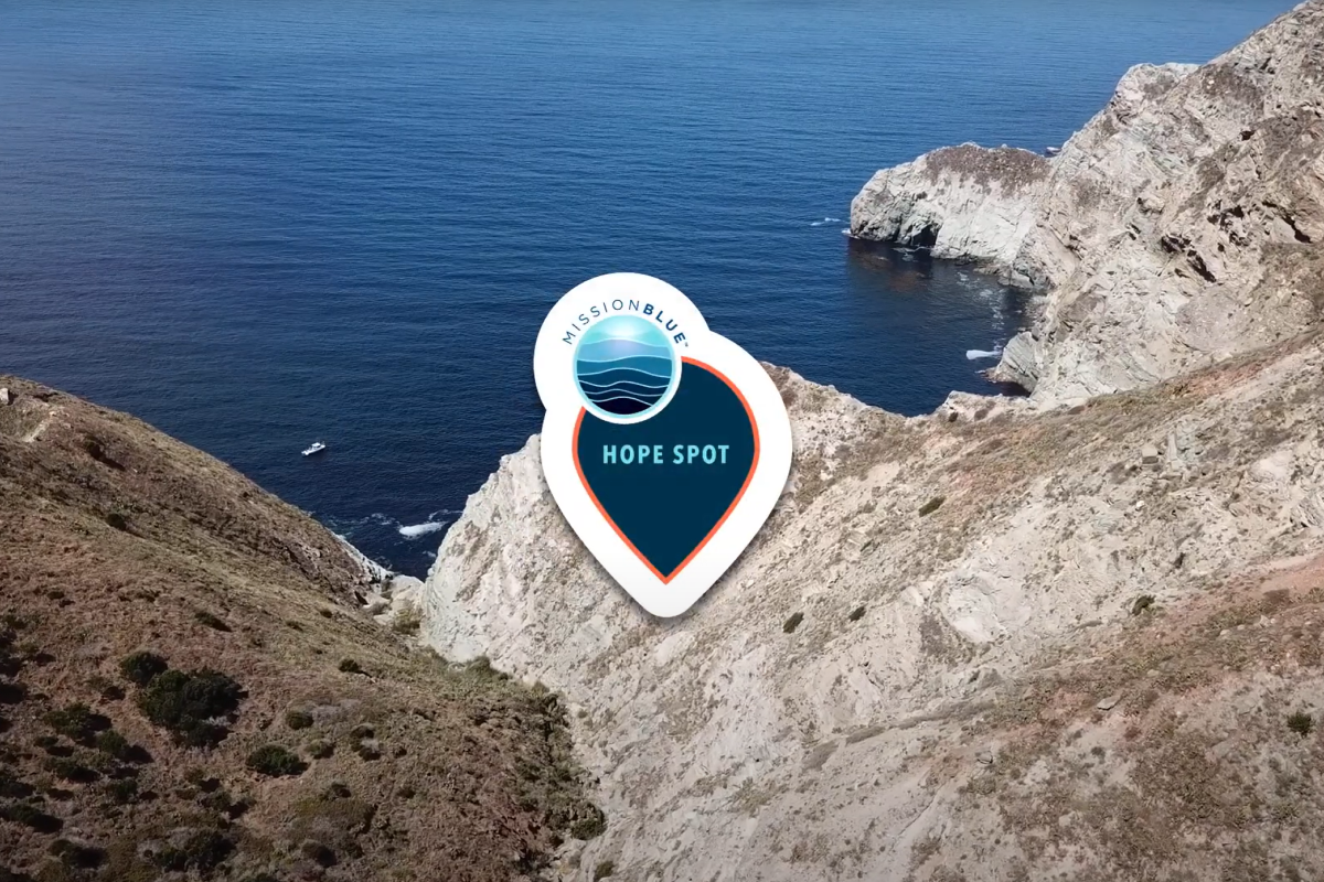 Mission Blue's Hope Spot logo in front of a coastal photo of Catalina Island.