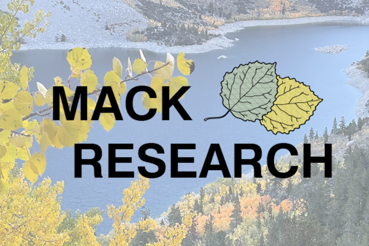 Mack Research logo in front of a picture of a lake.