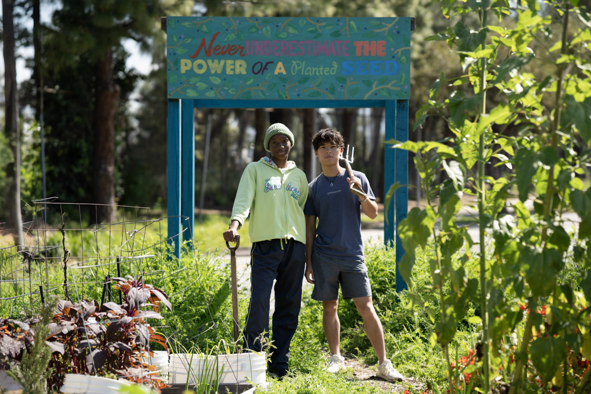 Environmental studies majors Munachiso “Muna” Obiefule and Jack Chen interning with the Garden School Foundation. Photo by Nick Neumann/USC Wrigley Institute.