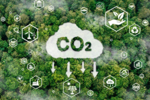 The words Co2 inside of a cloud, surrounded by separate symbols representing a factory, recycling, solar power, car, windpower overlayed on a background of a forest seen from an aerial view.