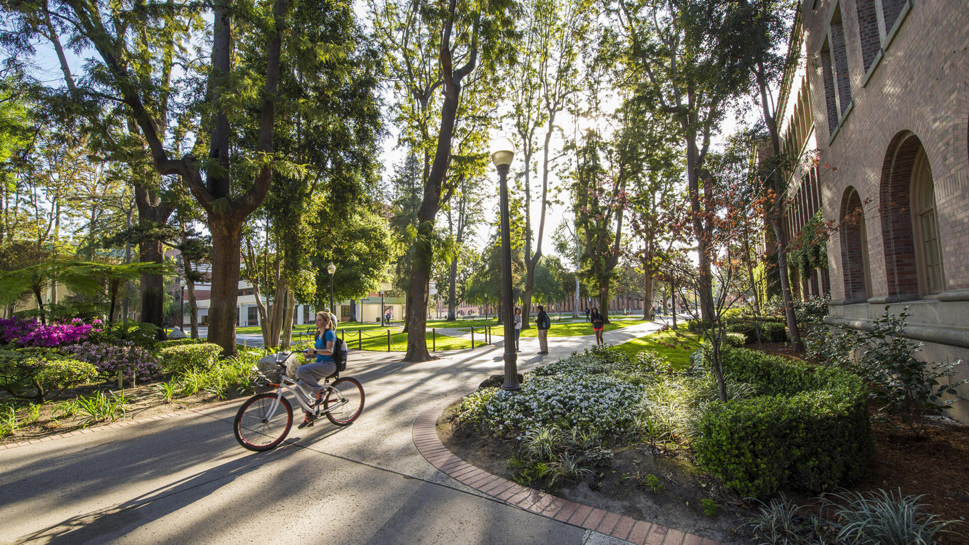 Student riding a bike on campus.