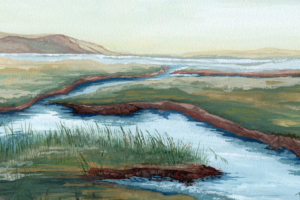 The wetlands of the Upper Newport Bay Ecological Reserve support populations of shorebirds, waterfowl, native plants, and rare and endangered species. (Painting/Nina Raffio)