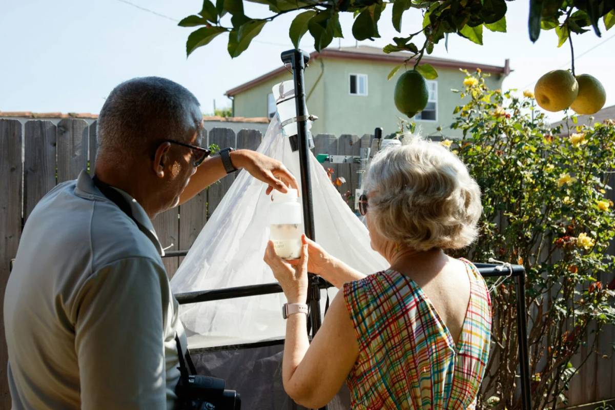 Volunteers tend to an insect trap in Los Angeles. (Deniz Durmus, courtesy of the Natural History Museums of Los Angeles County, CC BY-SA)