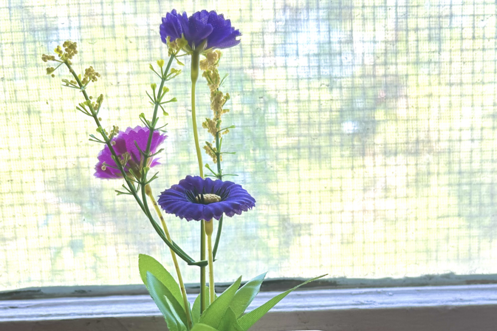 A flowerpot from the Dornsife plant giveaway during the USC Sustainability Hub Anniversary Open House. Photo Credit: Kristen Adams