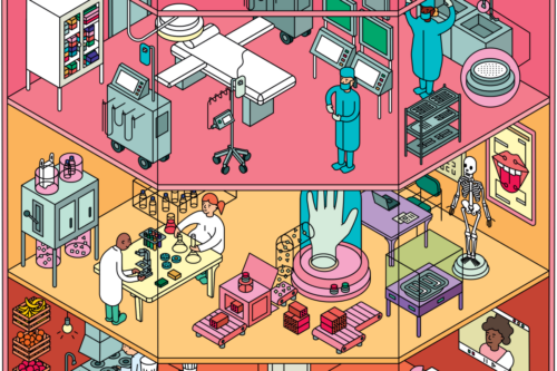 Green initiatives at USC illustrated as a tower with medical, research, office and cooking facilities. (USC Staff Illustration by Ana Cuna)