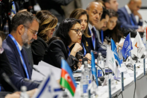 Officials from countries around the world met in Baku, Azerbaijan, for COP29 in November 2024. (Photo: UN Climate Change via Flickr.)