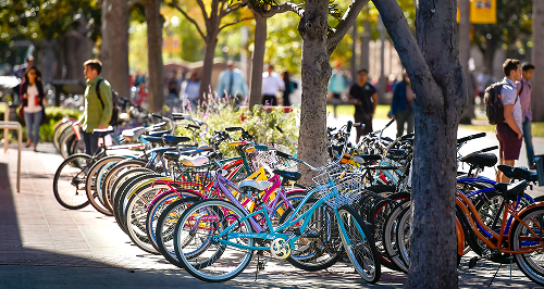 Bicycles on campus.