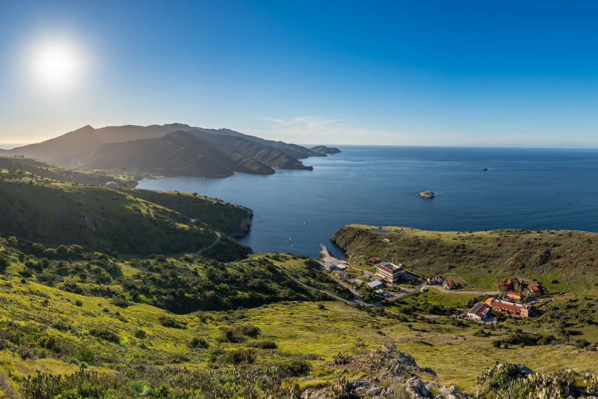 The Wrigley Marine Science Center sits on Catalina Island’s Big Fisherman Cove, which is part of California’s network of marine protected areas. The USC Wrigley Institute for Environment and Sustainability, along with local Catalina Island groups, stewards the cove and the broader marine reserve that encompasses it. (Photo: Nick Neumann/USC Wrigley Institute)