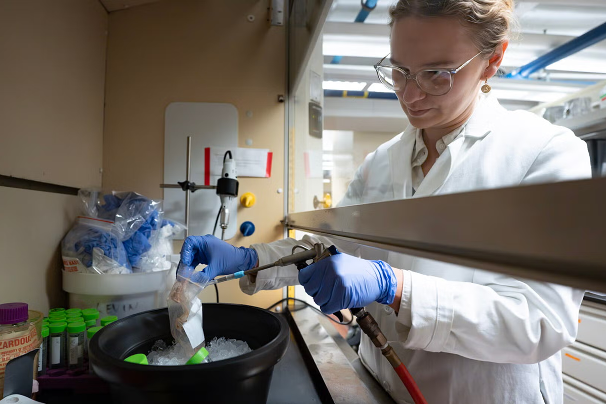 2025 Wrigley Institute Graduate Fellow Jenna Dilworth uses an airbrush to remove tissue from a coral fragment so it can be further processed for molecular analyses (Nick Neumann/USC Wrigley Institute).