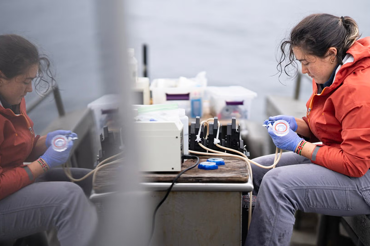 2025 Wrigley Institute Graduate Fellow Mia Franks changing a filter for water sampling on the San Pedro Ocean Times Series cruise in June (Nick Neumann/USC Wrigley Institute).