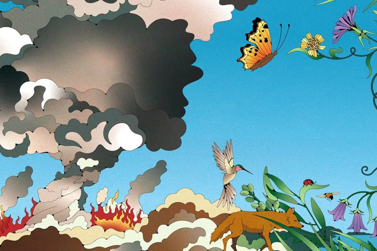 Wrigley Institute-supported experts are aiding threatened species and ecosystems, including ocean corals, giant kelp, and the critically endangered Channel Islands fox. (Illustration: Maria Francesca Melis)
