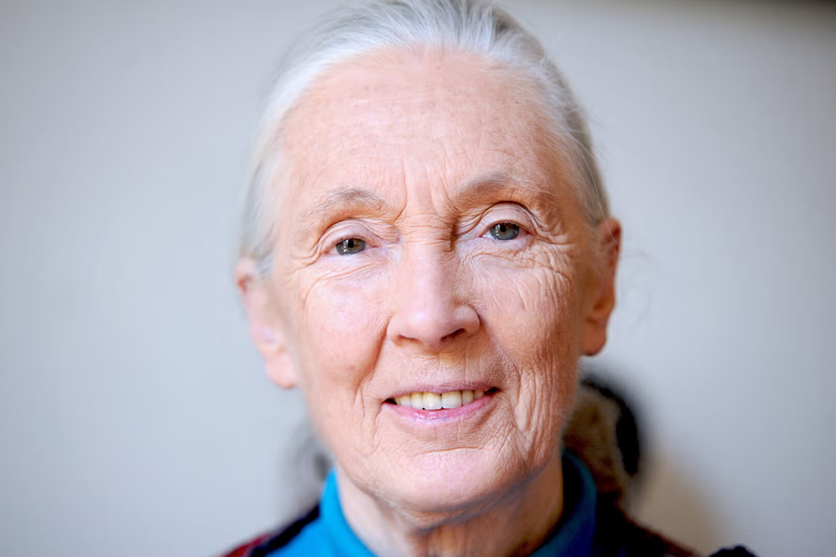 Jane Goodall