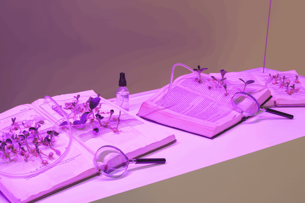 Plants on a desk with books, a magnifying glass and a vial of liquid under fluorescent lighting